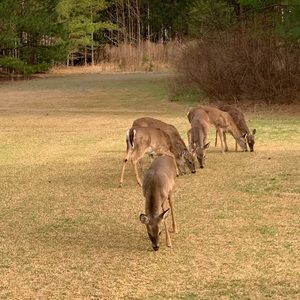 Meet your Posher, Neil
